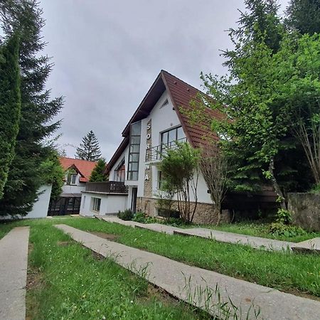 Vila Sorina Пояна-Брашов Екстер'єр фото