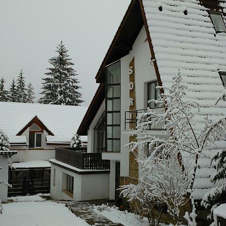 Vila Sorina Пояна-Брашов Екстер'єр фото